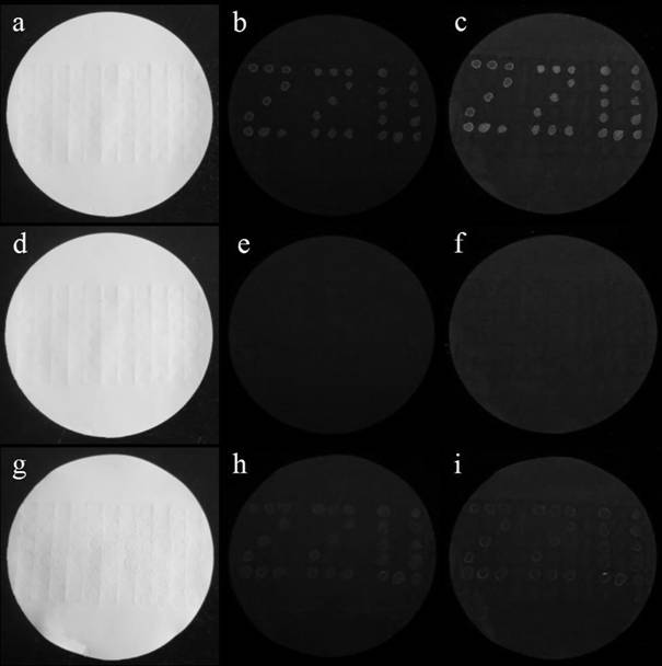 A kind of carbon nitride quantum dot and its preparation method and application