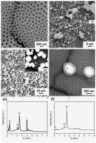 A kind of bi-bioi/tna composite material and its application