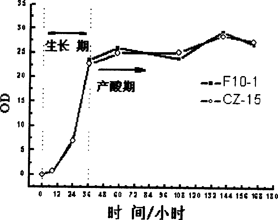 Constructing method for candida tropicalis gene engineering recombinant bacterium