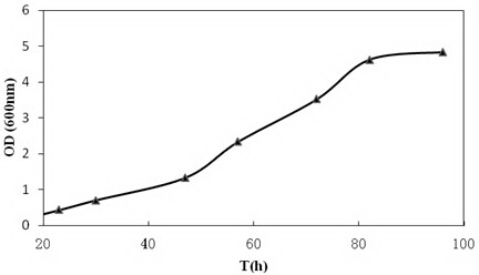 Sinorhizobium meliloti strain and composition and application of sinorhizobium meliloti strain