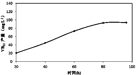 Sinorhizobium meliloti strain and composition and application of sinorhizobium meliloti strain