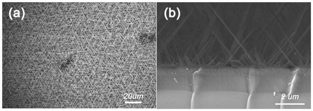 Ga2O3 nanowire array film and preparation method thereof