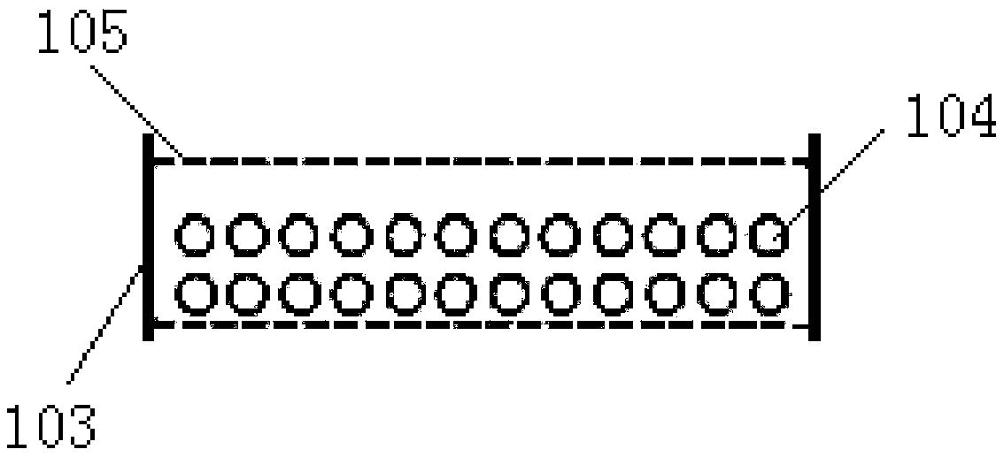 Particulate matter catching device and tail gas purification system