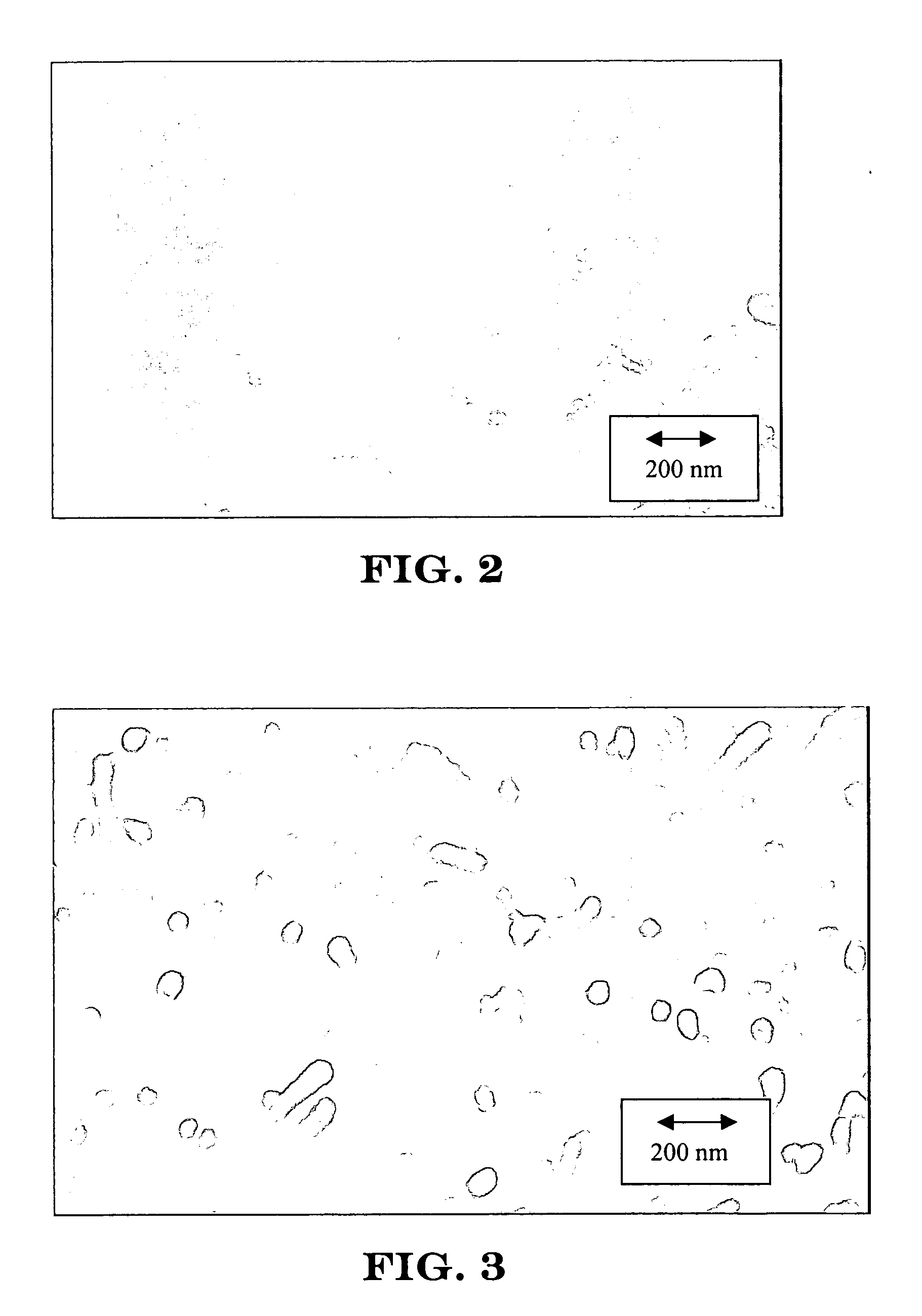 Nanotube-containing composite bodies, and methods for making same