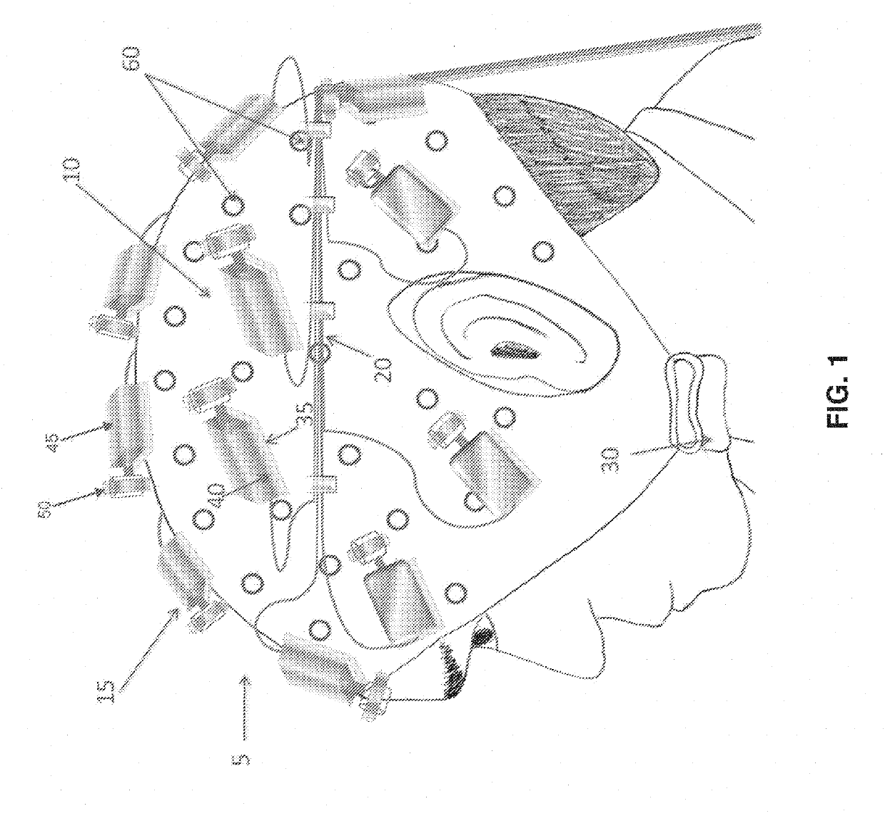 Method and apparatus for providing transcranial magnetic stimulation (TMS) to an individual