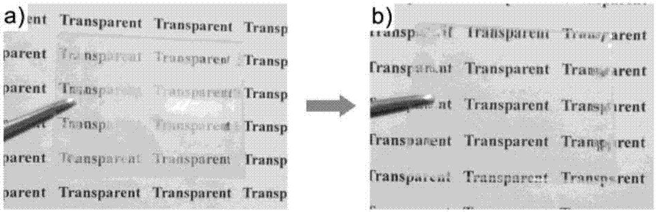 Complex aqueous solution for preparing self-repairing anti-fog frost prevention coating and application thereof