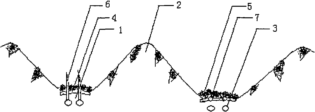 Soil mulching film multilayer-covering cultivation method of cane