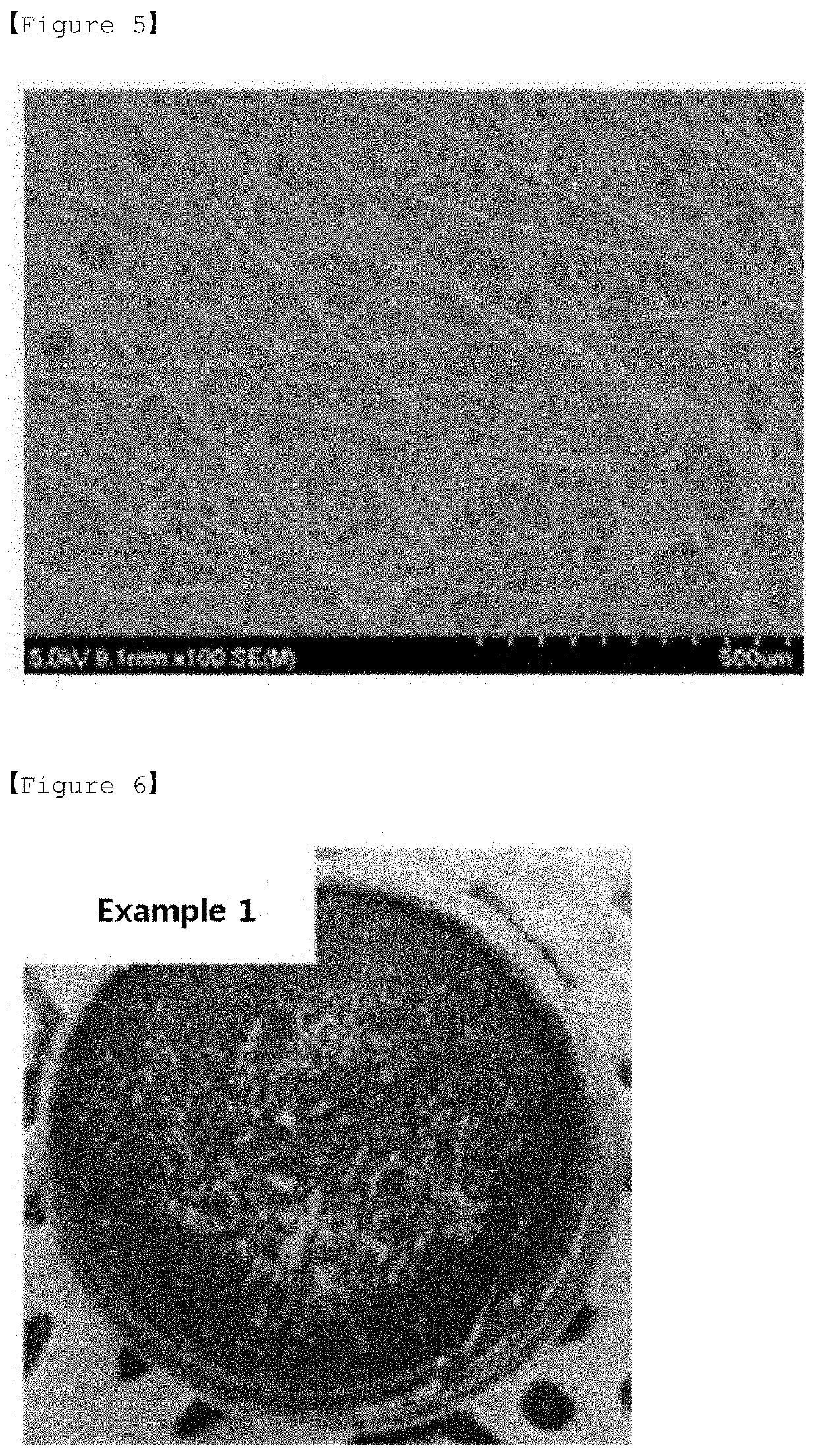 Anode for lithium secondary battery and lithium secondary battery comprising the same