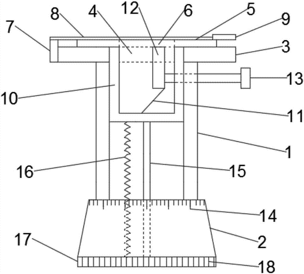 Leaf free-hand slicer for middle school biology teaching