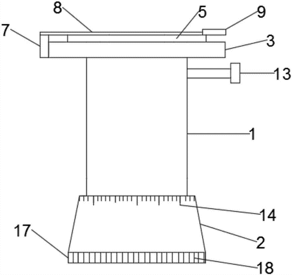 Leaf free-hand slicer for middle school biology teaching