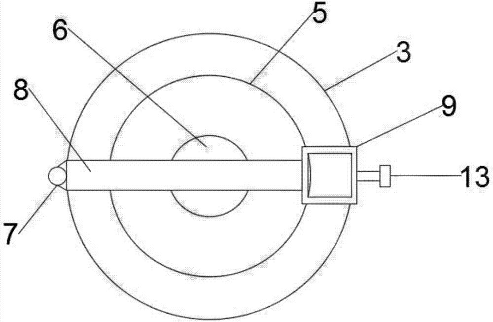 Leaf free-hand slicer for middle school biology teaching