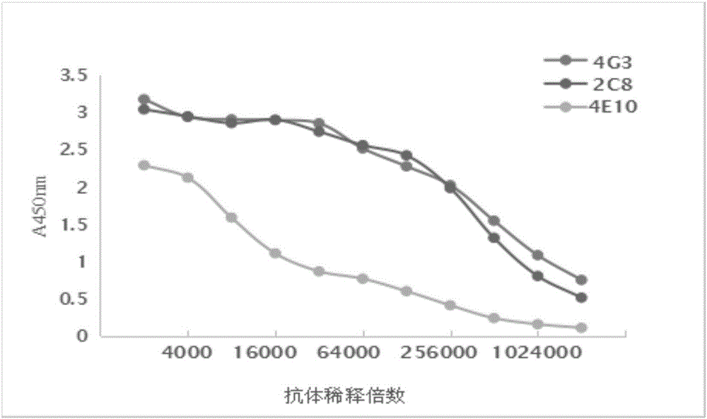 Furazolidone-metabolite-resistant monoclonal antibody and application thereof