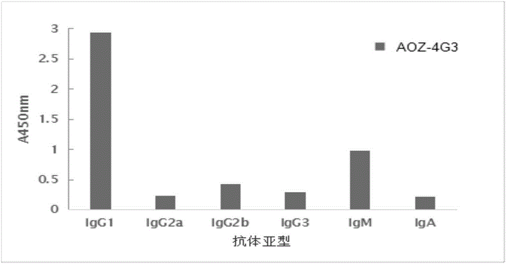 Furazolidone-metabolite-resistant monoclonal antibody and application thereof