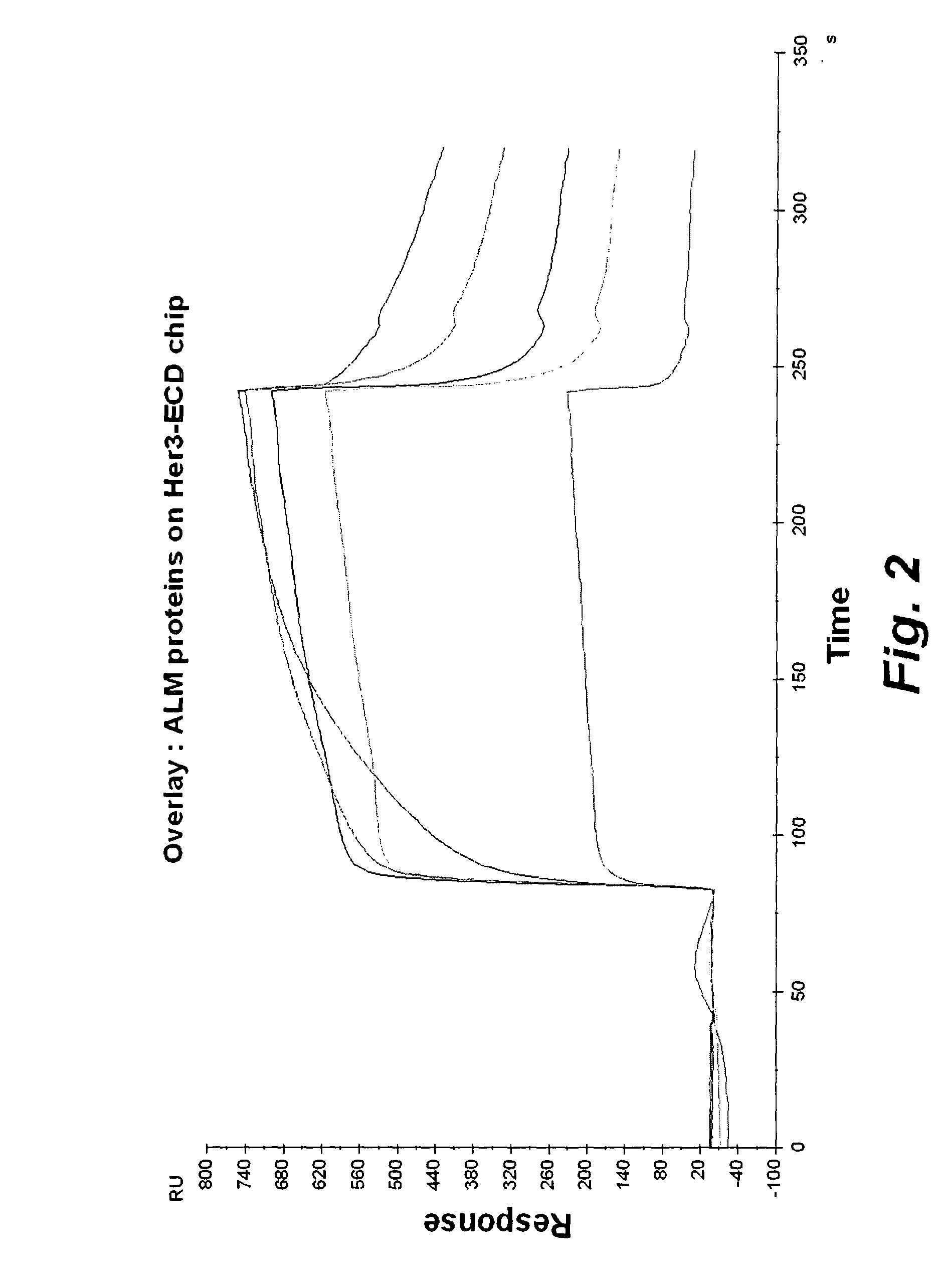 Anti-EGFR family antibodies, bispecific anti-EGFR family antibodies and methods of use thereof