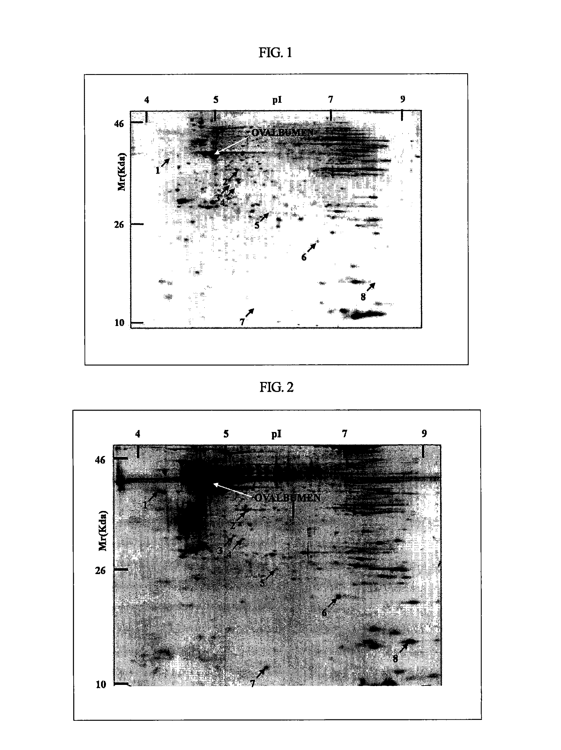 Oviduct specific expression promoter and recombinant expression vector comprising the same