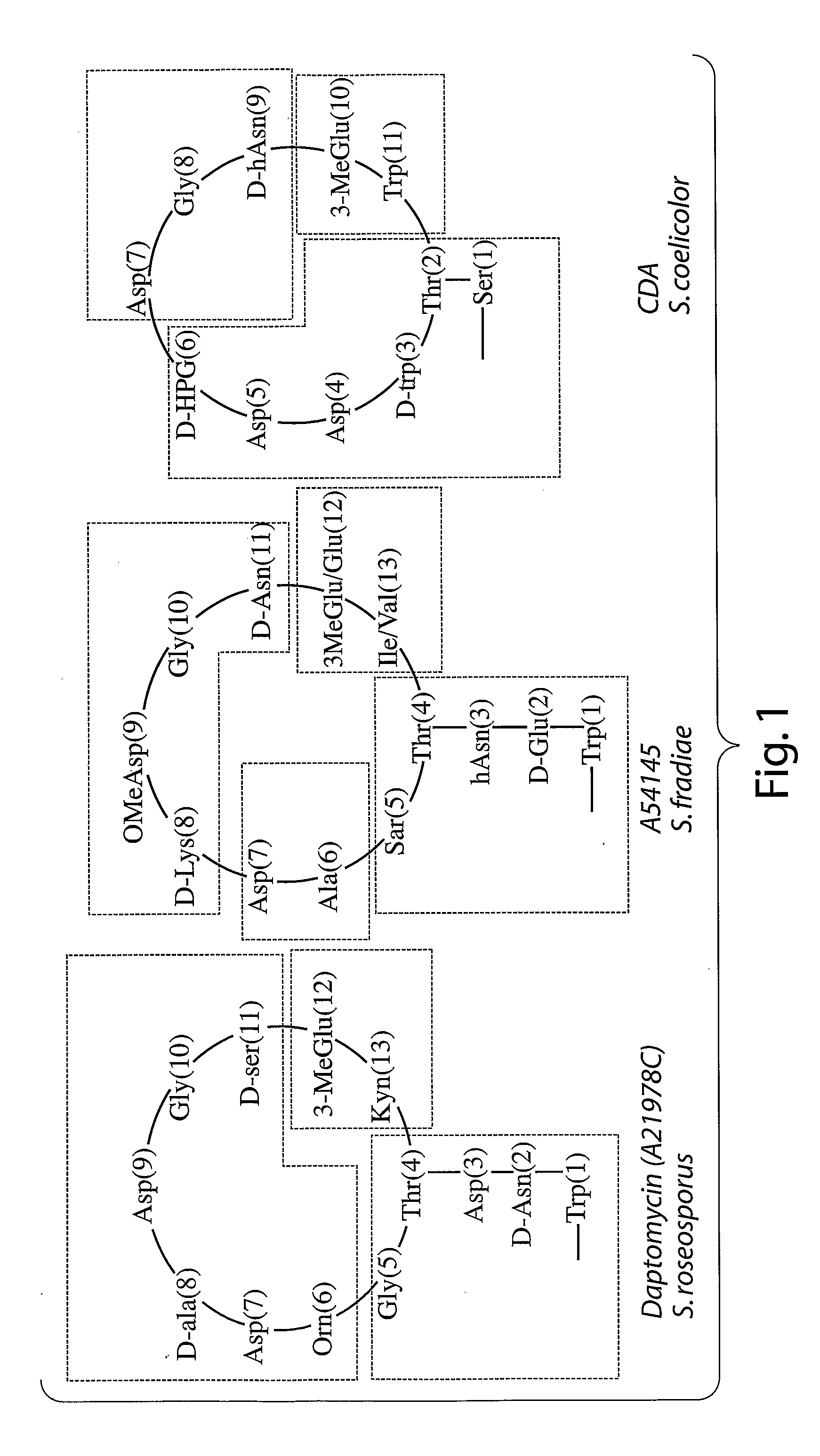 Antiinfective Lipopeptides