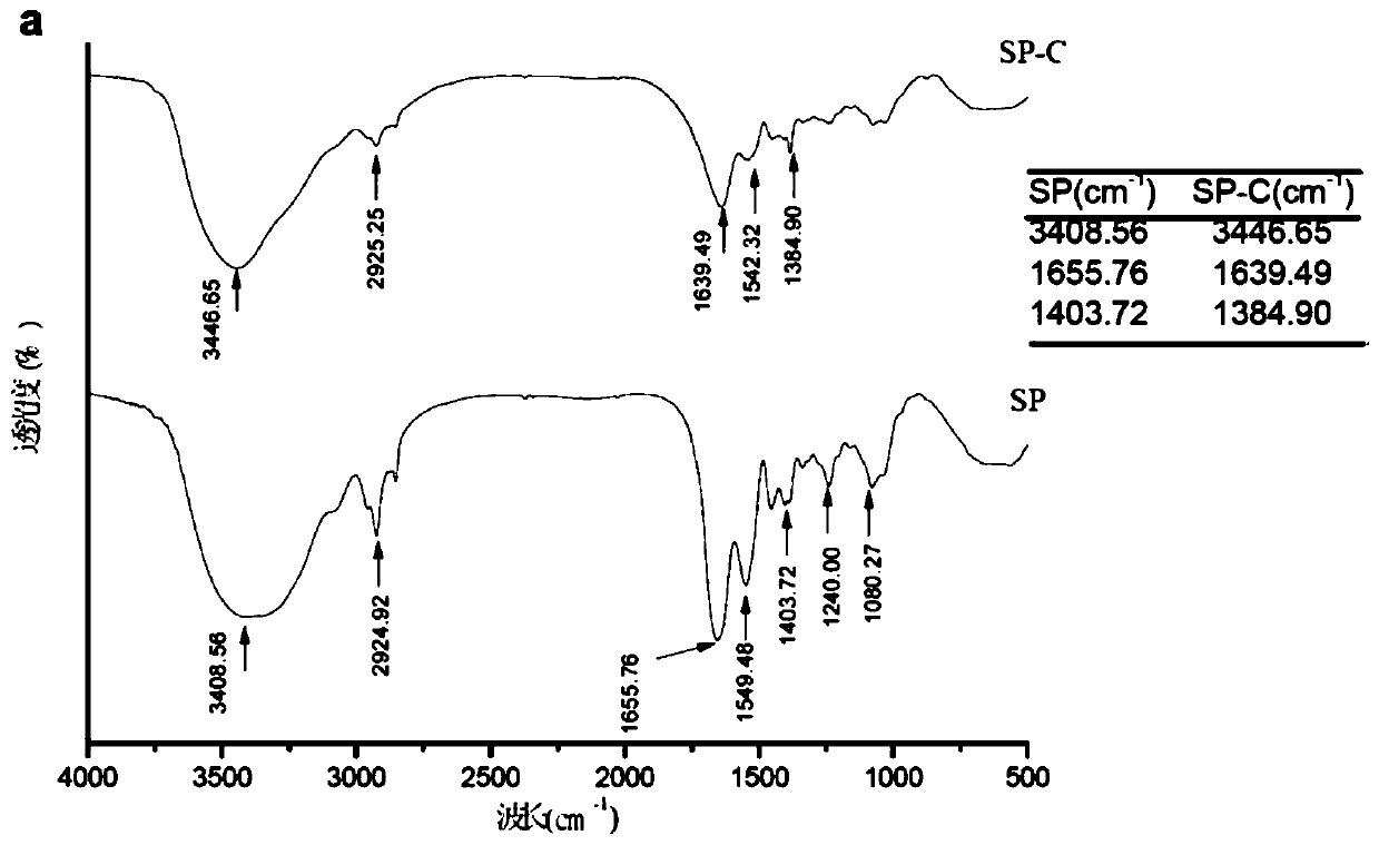 Preparation method of collagen peptide-zinc chelate