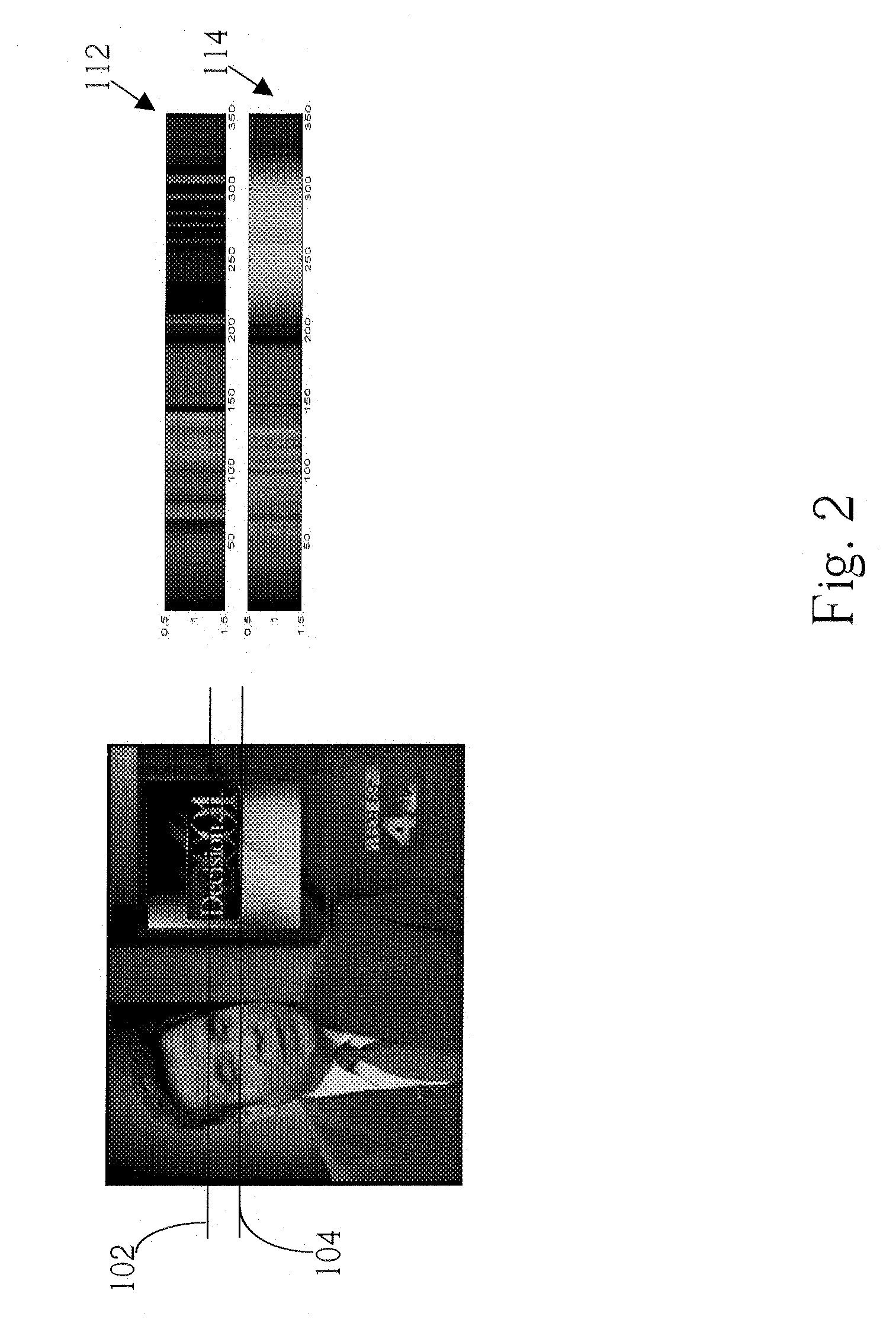 Anchor person detection for television news segmentation based on audiovisual features