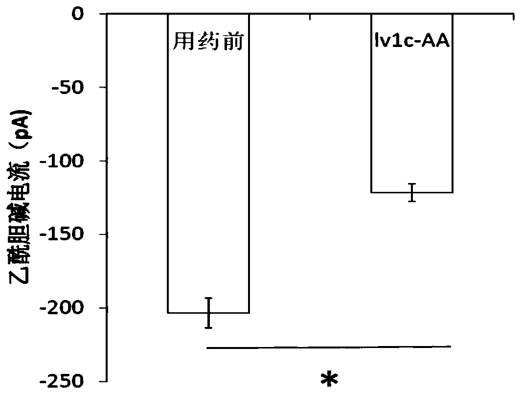 Conotoxin mutant polypeptide lv1c-aa and its application and preparation method
