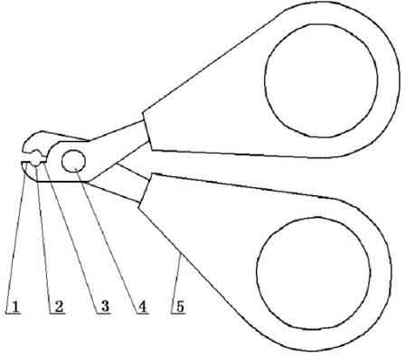 Scissors for removing stamen during peach blossom hybridization