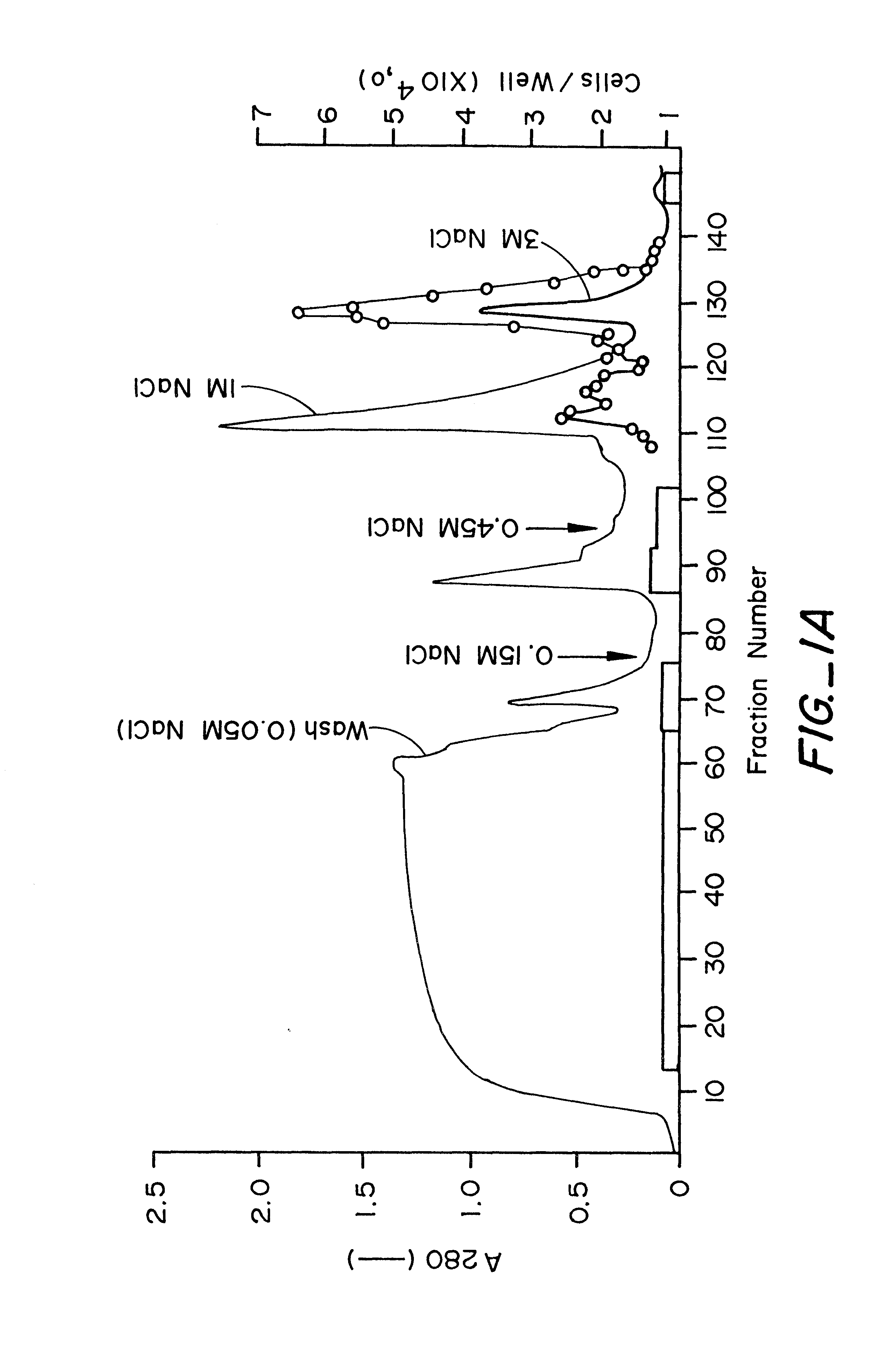 Endothelial cell growth factor methods of isolation and expression