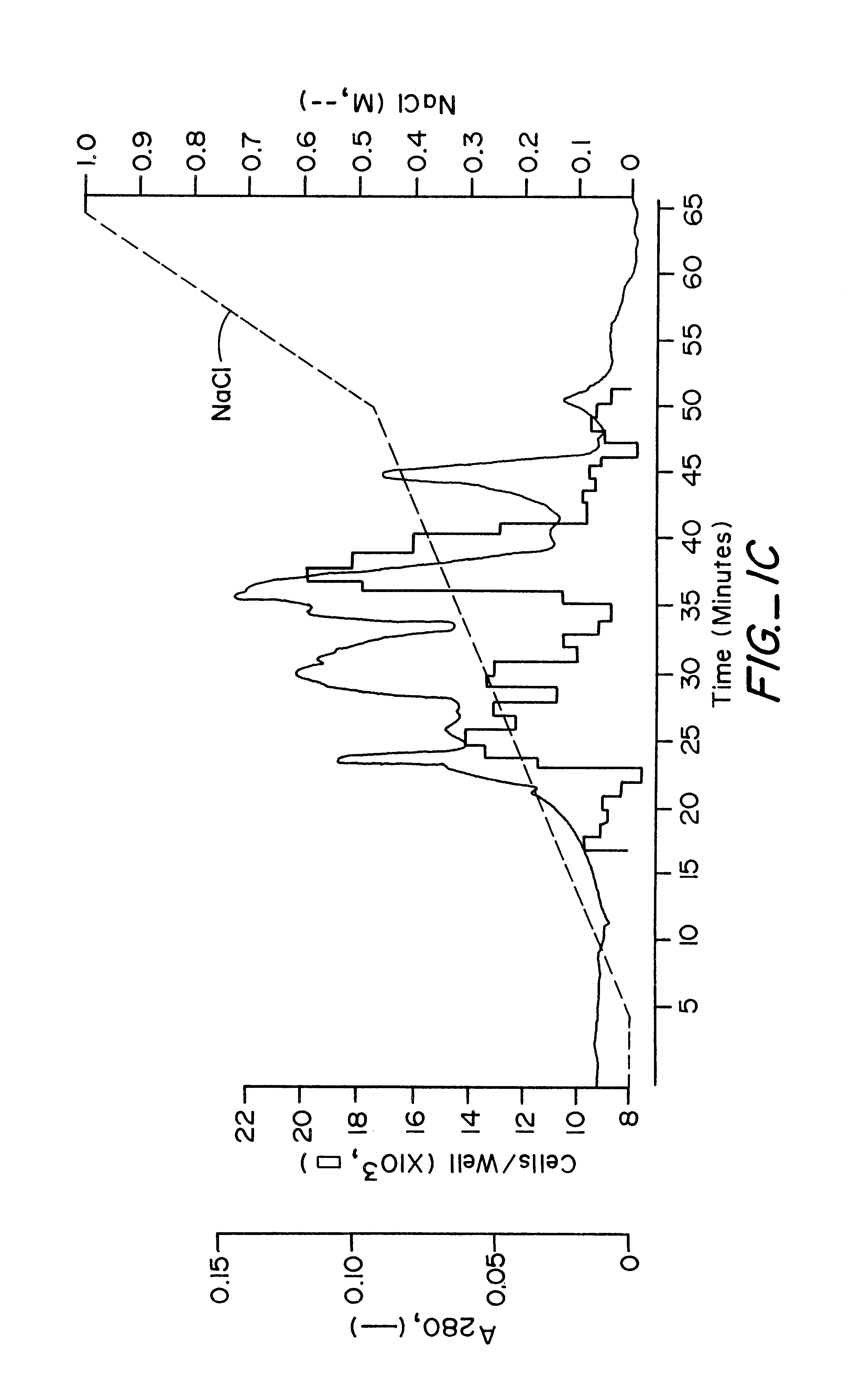 Endothelial cell growth factor methods of isolation and expression