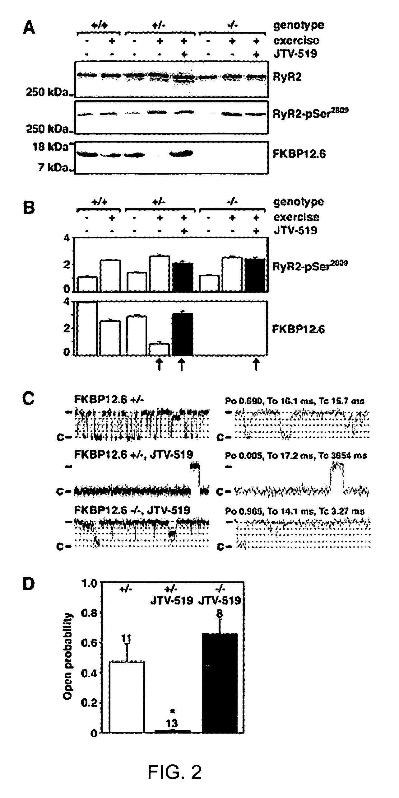 Methods for identifying a chemical compound that directly enhances binding of FKBP12.6 to PKA-phosphorylated type 2 ryanodine receptor (RyR2)