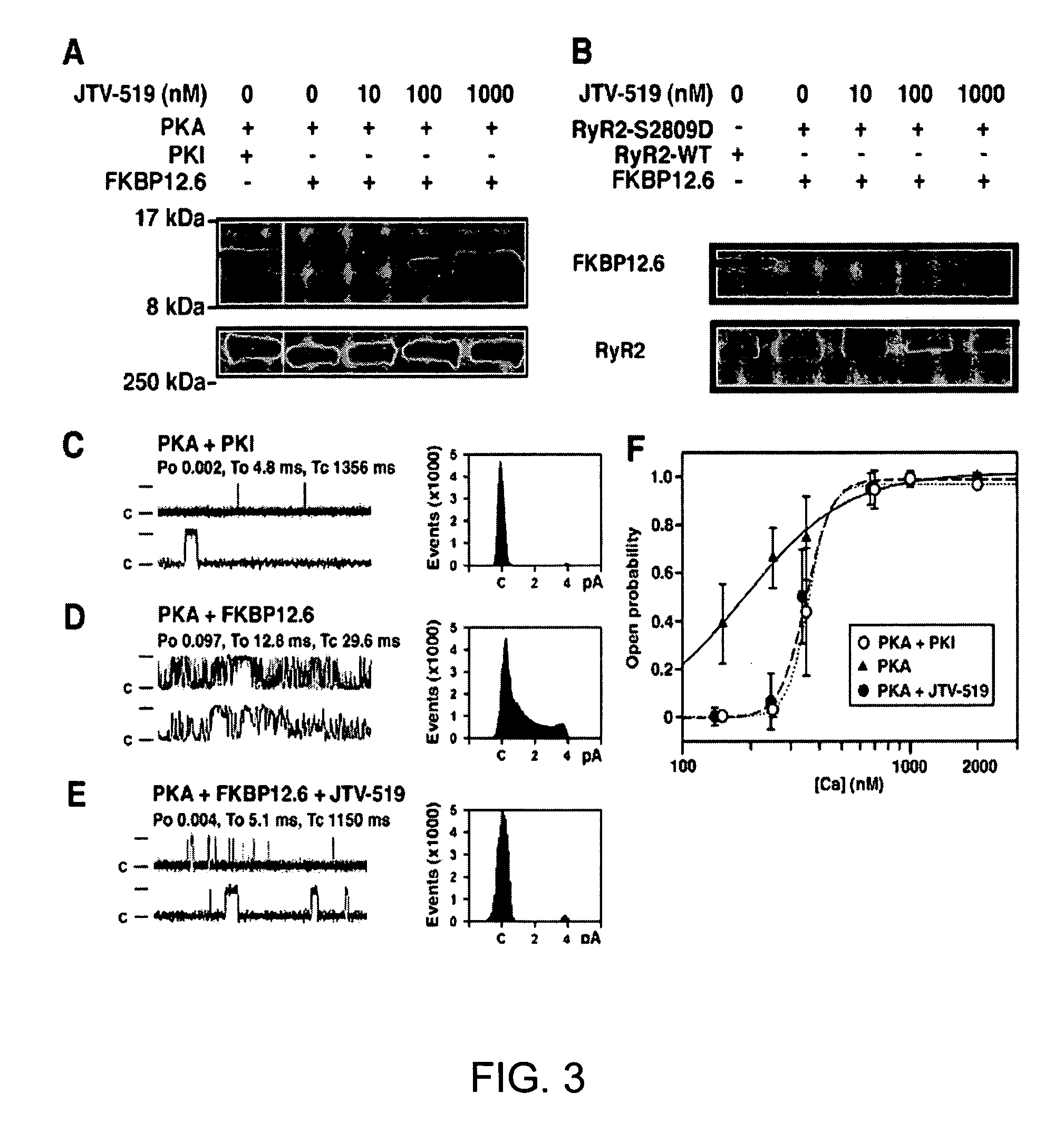 Methods for identifying a chemical compound that directly enhances binding of FKBP12.6 to PKA-phosphorylated type 2 ryanodine receptor (RyR2)