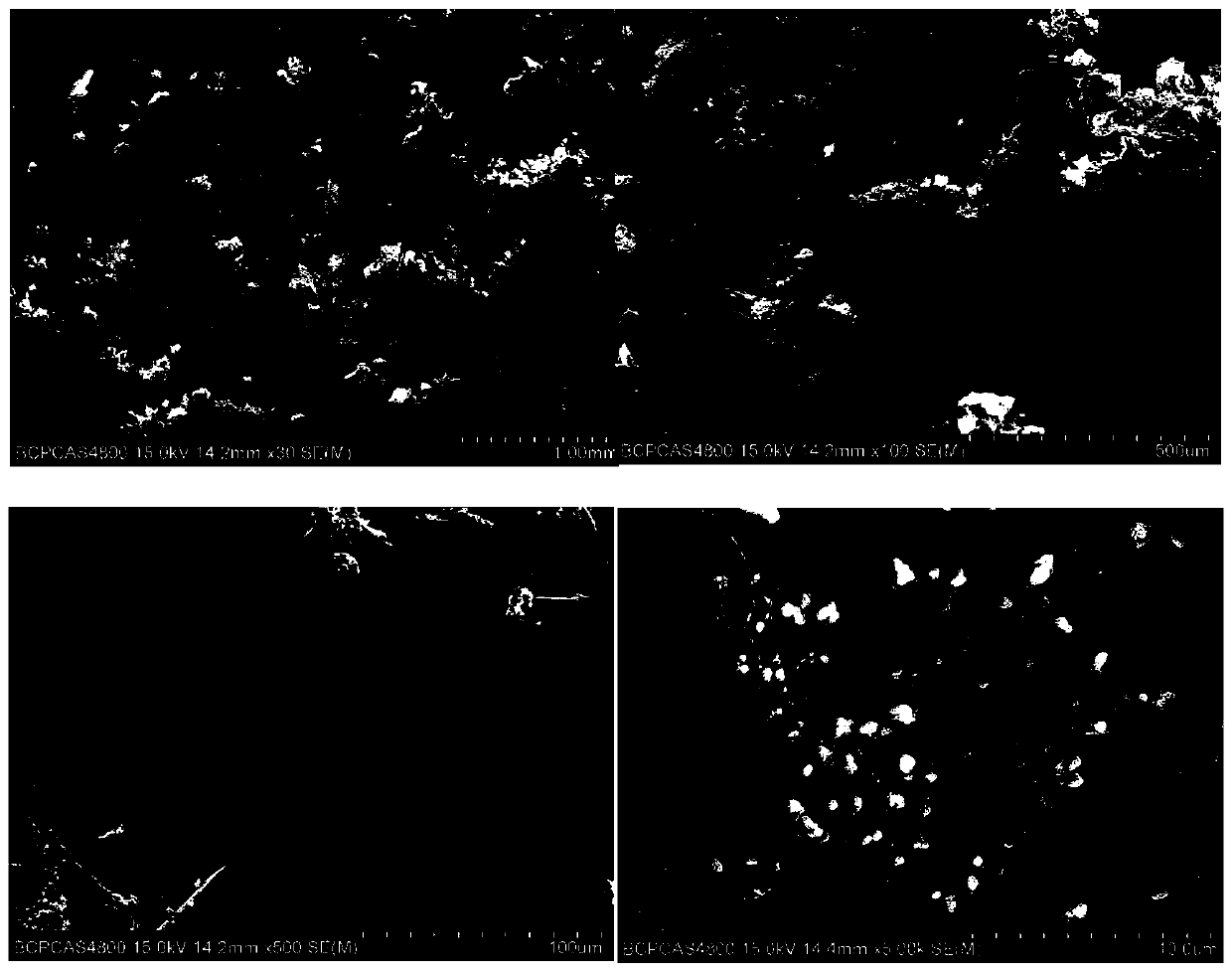 Bone repair material and application thereof