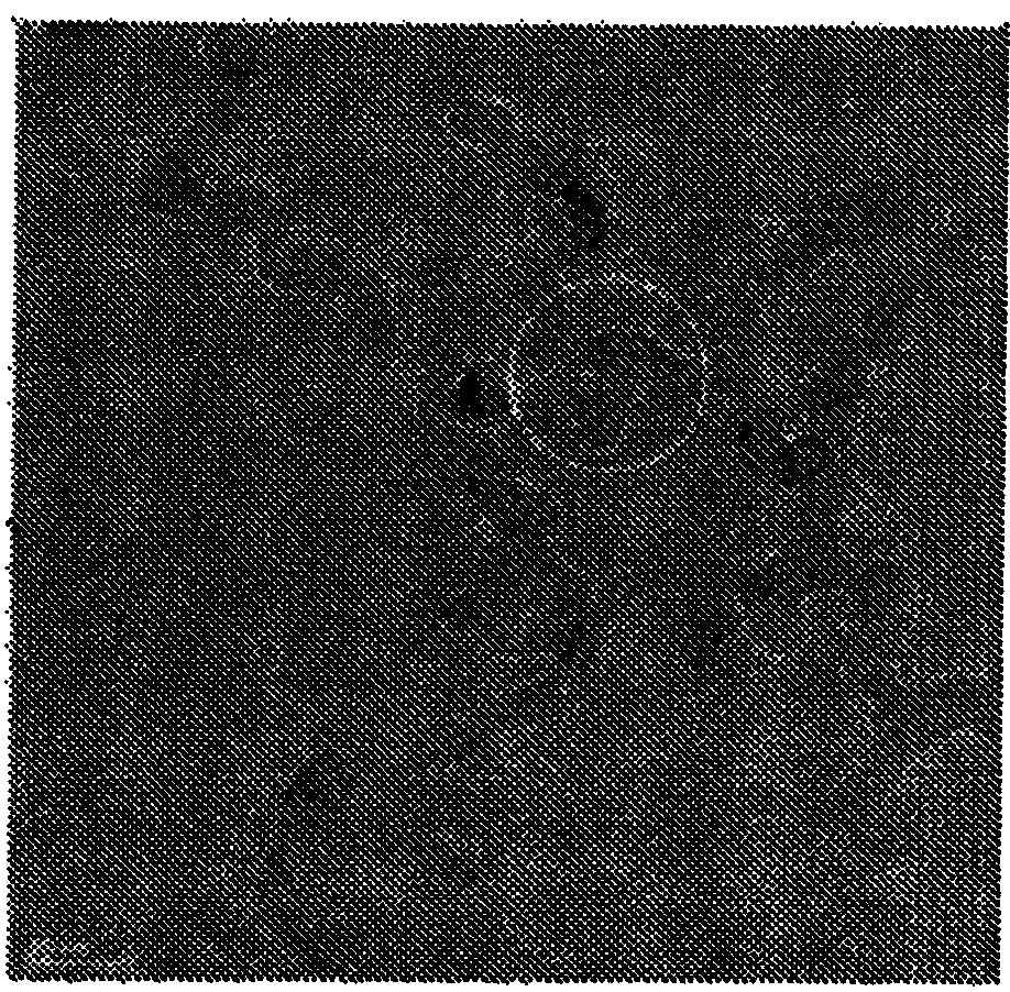 Acicular silica coating for enhanced hydrophilicity/transmittivity