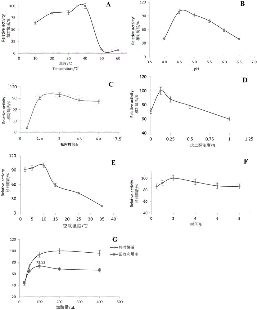 Immobilized Helianthus tuberosus L. fructan excision hydrolytic enzyme and preparation method thereof