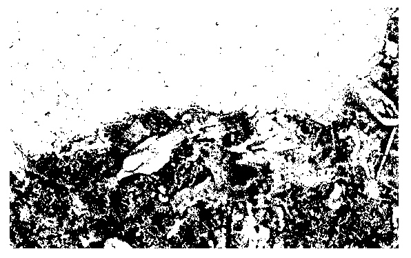 Method for electroplating titanium on surface of metal