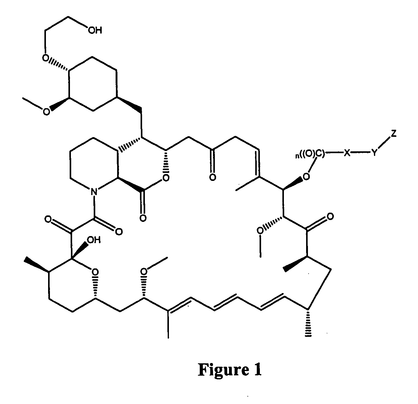 Immunoassays for everolimus