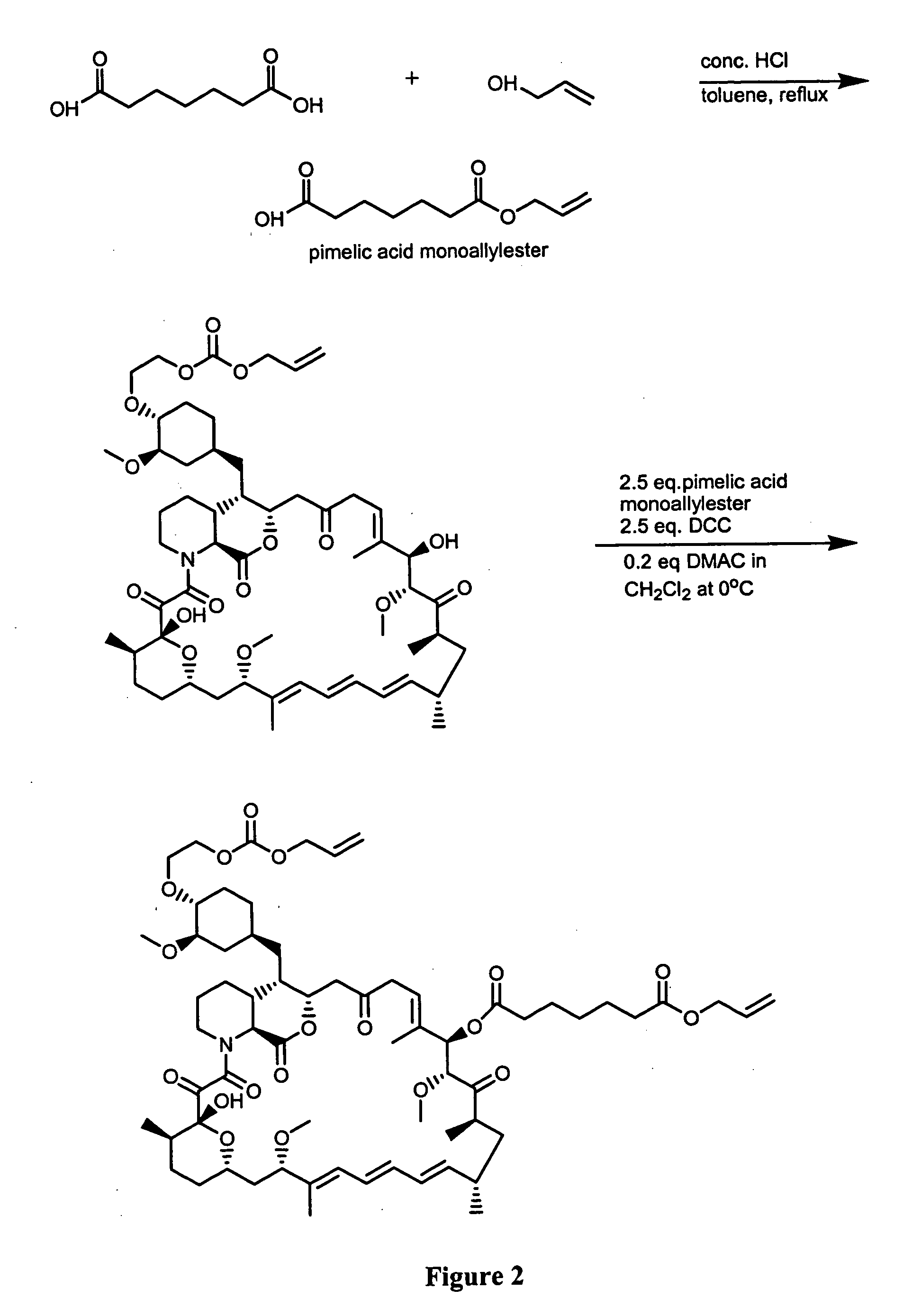 Immunoassays for everolimus