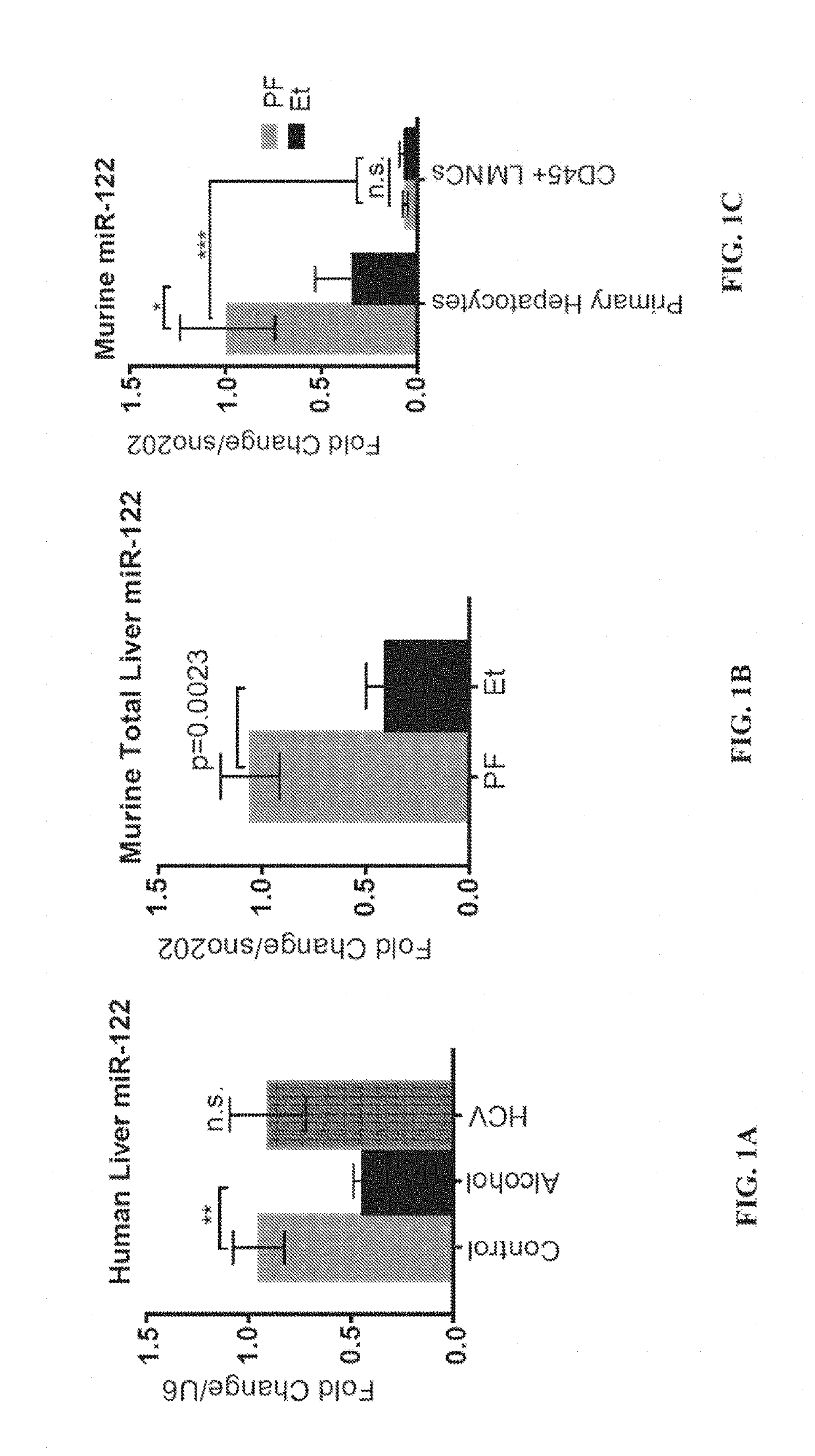 Compositions and methods for selective inhibition of grainyhead-like protein expression