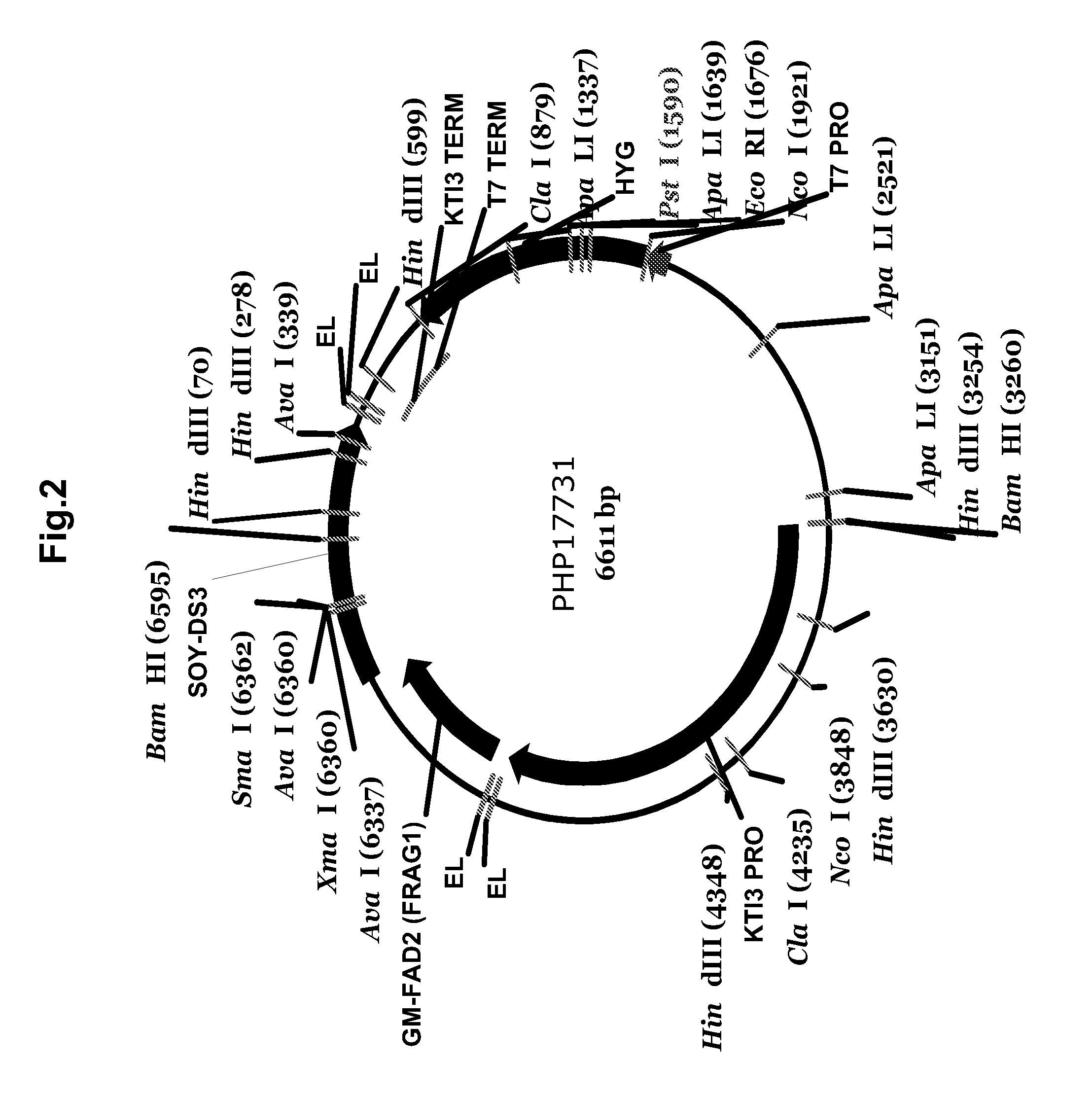 Soy protein products having altered characteristics