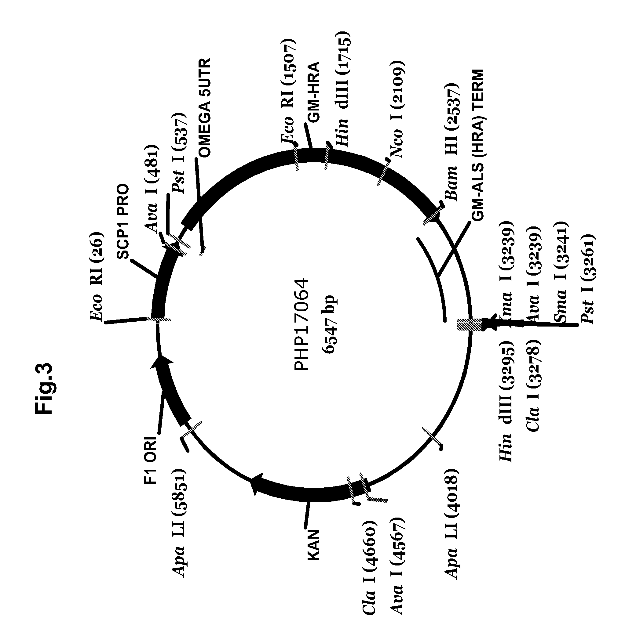 Soy protein products having altered characteristics