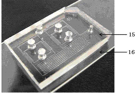 Micro-fluidic chip and method for studying effect of fluid shearing force on cell with the micro-fluidic chip