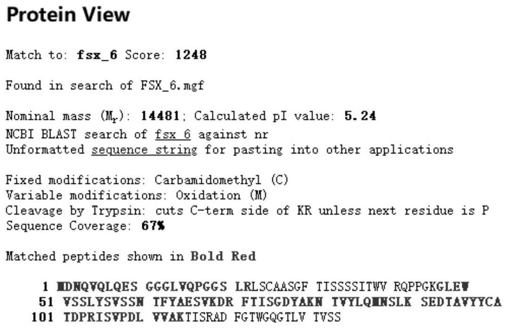 A kind of anti-h5 subtype avian influenza nanobody protein and its coding gene and application