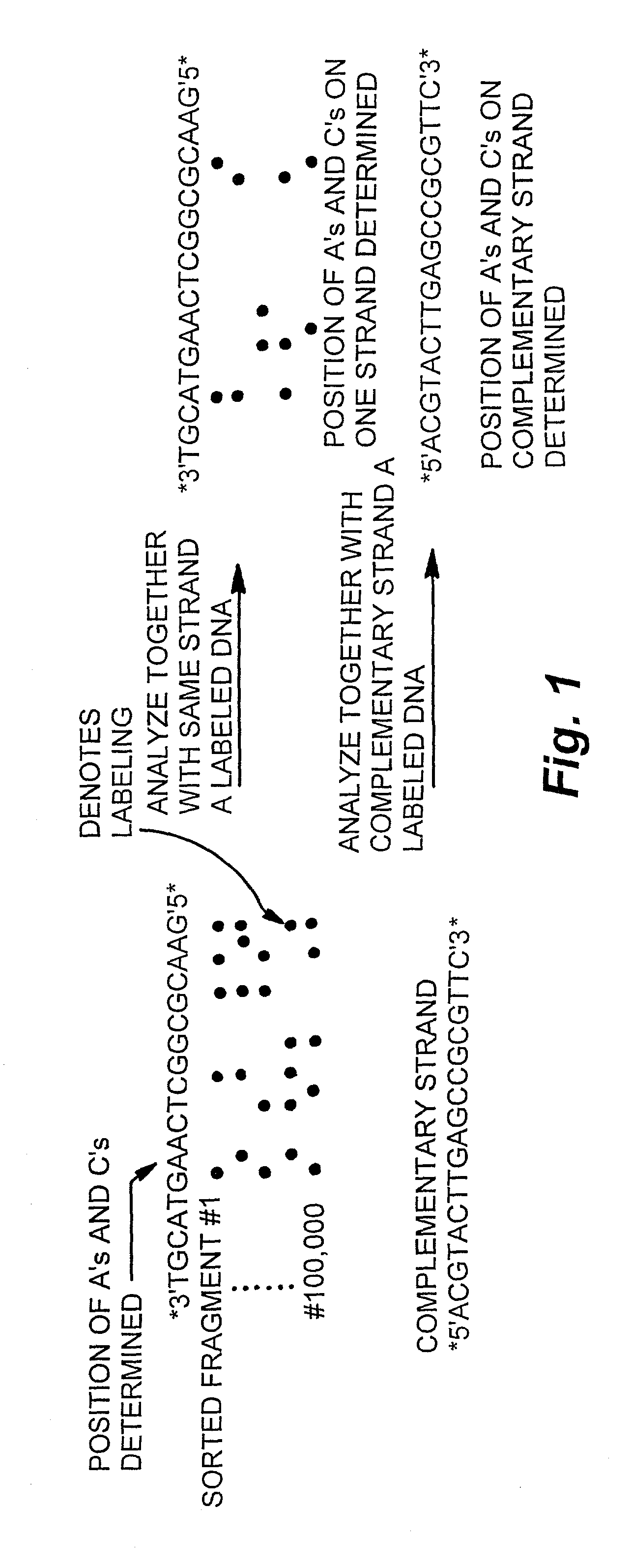 Methods and products for analyzing polymers