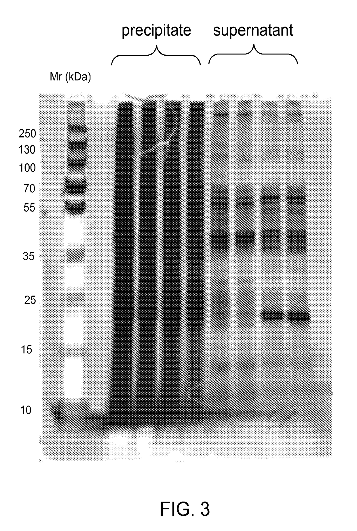 Compositions comprising a casein and methods of producing the same