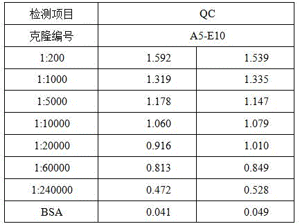 Monoclonal antibody for resisting to cyprinus carpio haematopterus immune globulin (IgM) and application of monoclonal antibody