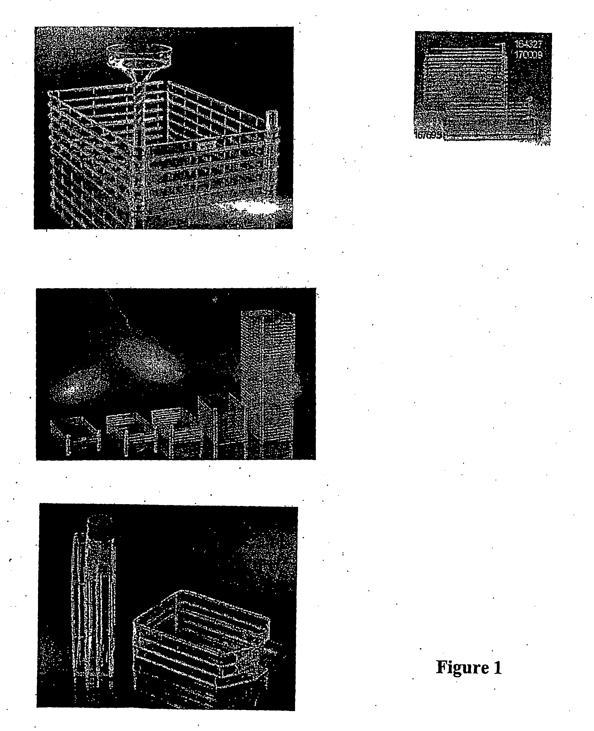 Autologous T Cell Manufacturing Processes