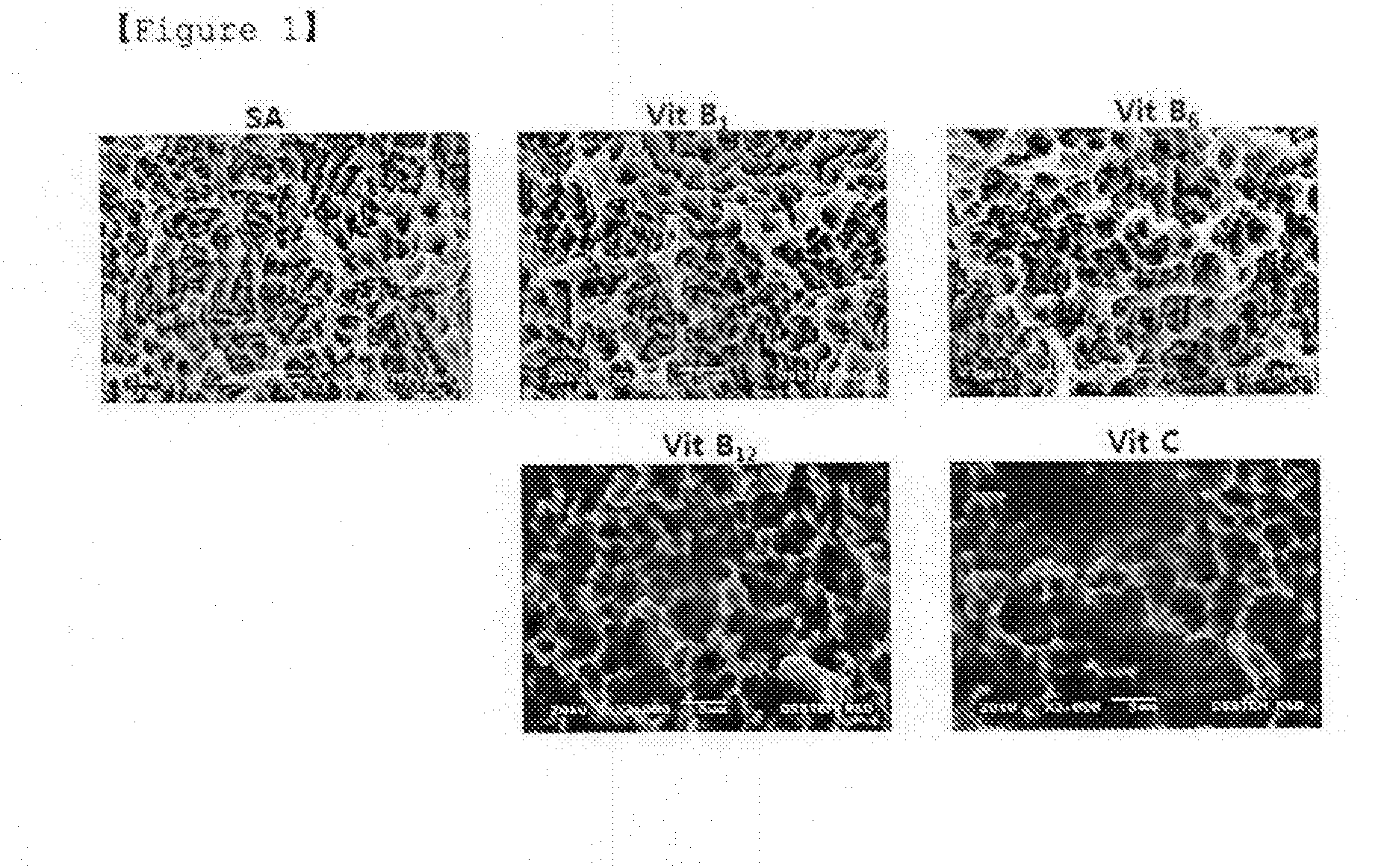 Implant coating material for enhancing a bioactivity and osseointegration of implant surface, and the method for manufacturing and storing the same