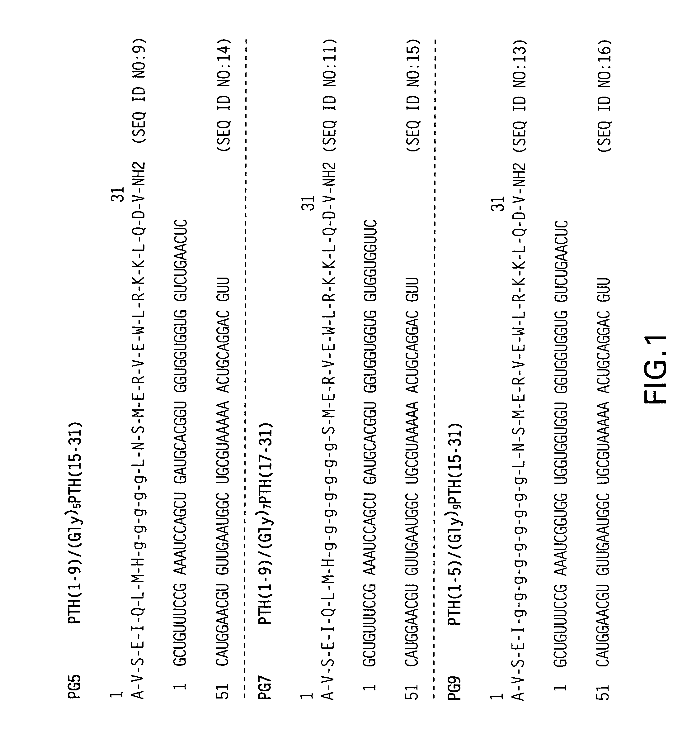 PTH functional domain conjugate peptides, derivatives thereof and novel tethered ligand-receptor molecules