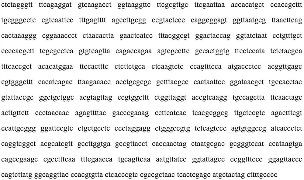 A kind of Bacillus subtilis and its application in agricultural production