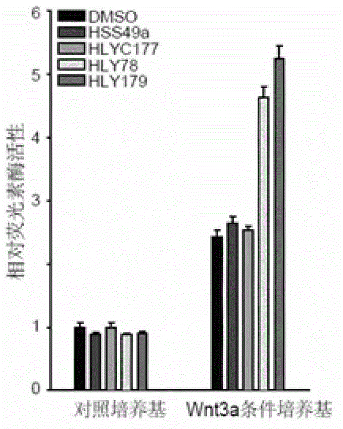 Screening method of drugs influencing classic Wnt signal pathway, and its application