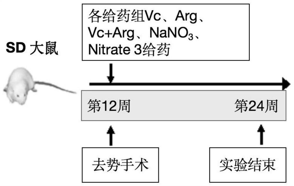 Nitrate-containing composition and application thereof