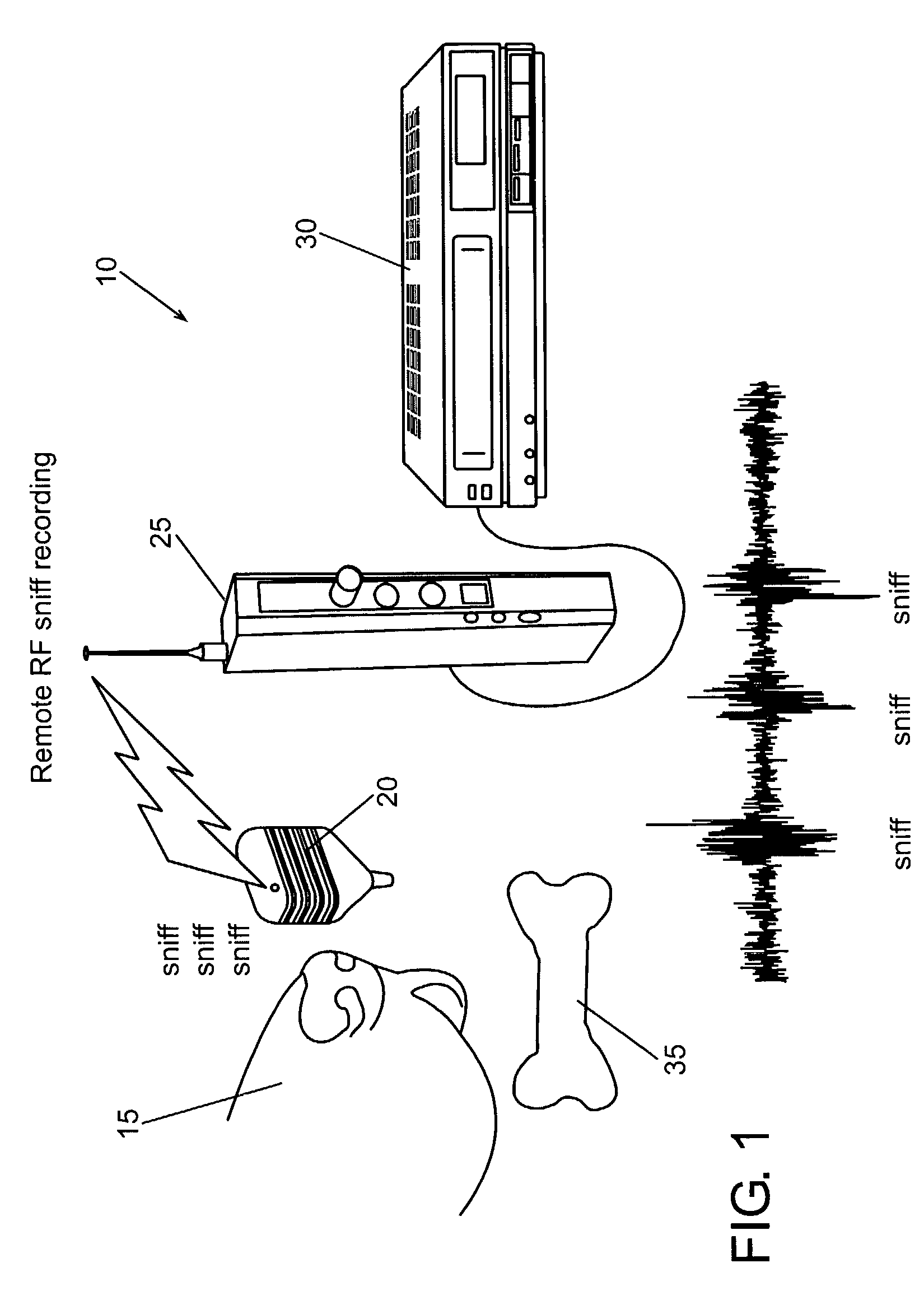 Apparatus and method for the measurement of the aerodynamics of olfaction in animals and man