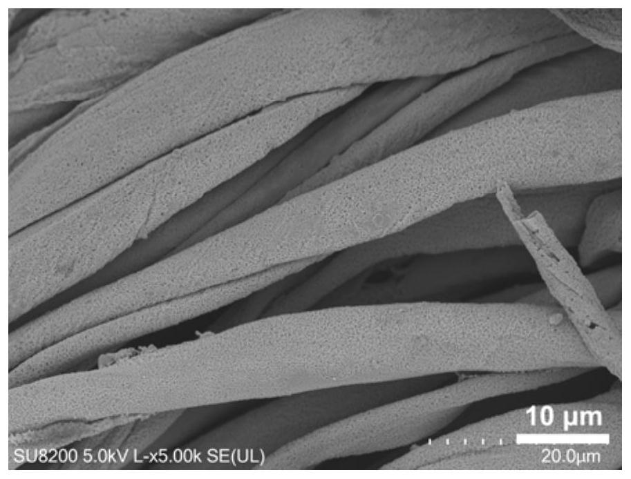 A kind of carbon fiber material with deposited sulfur element and its preparation method and application